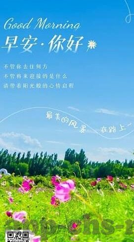 大象传媒app下载ios-探索大象传媒App，iOS平台上的娱乐新选择