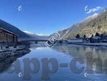 麻豆视频app下载-麻豆视频APP下载，探究当代互联网文化的新趋势