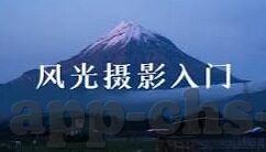 深夜释放自己vlog糖心-深夜的自我释放之旅，一则关于Vlog的甜蜜见解